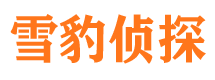 九江市调查公司